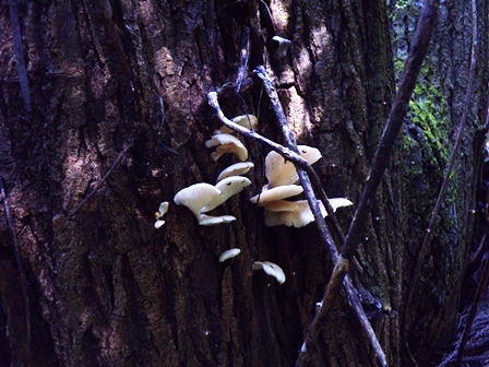DSCN1820.jpg