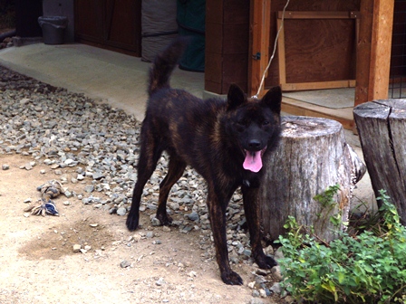 DSCN1824.jpg