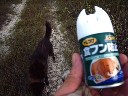 DSCN1868.jpg