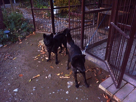 DSCN2104.jpg