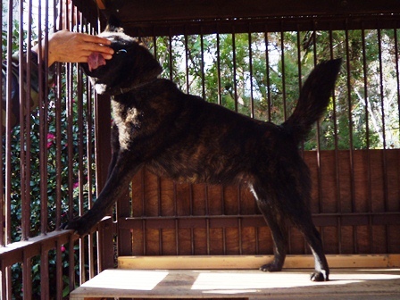 DSCN2120.jpg