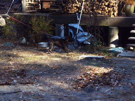 DSCN2133.jpg