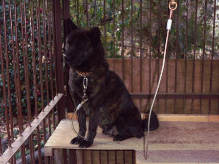 DSCN2151.jpg