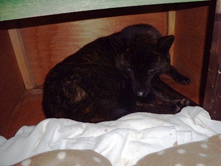 DSCN2168.jpg