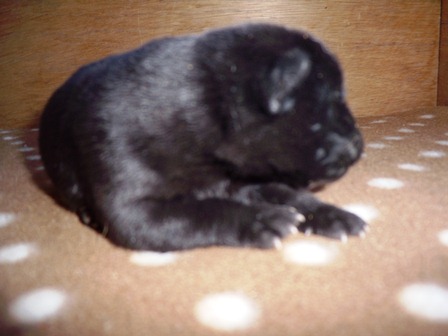 DSCN2180.jpg
