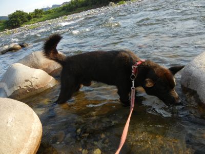 DSCN2119_353.jpg