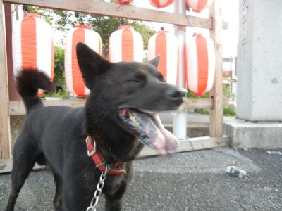 DSCN2125_350.jpg