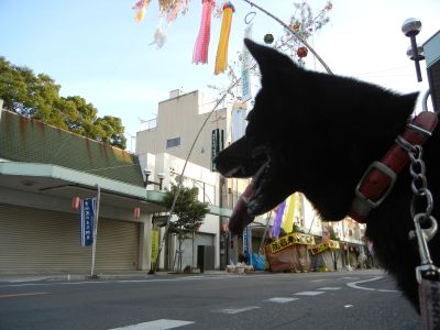 DSCN2128_351.jpg