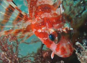 P1020153.jpg