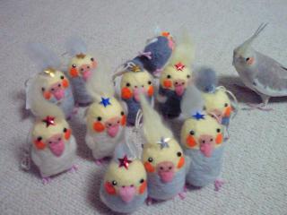 201008262041001.jpg
