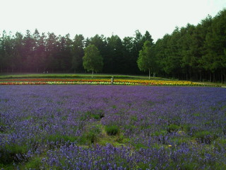 201207241540000.jpg
