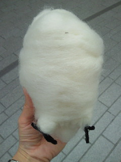 201209271215000.jpg