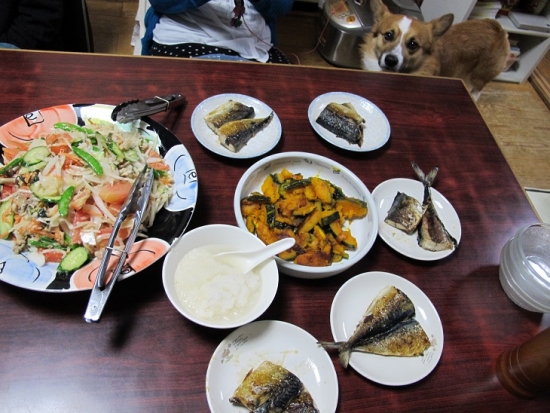 塩サバ、かぼちゃバター、新たまねぎとスナックエンドウ豚肉炒めのサラダ