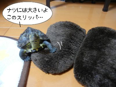 2013/03/23-02