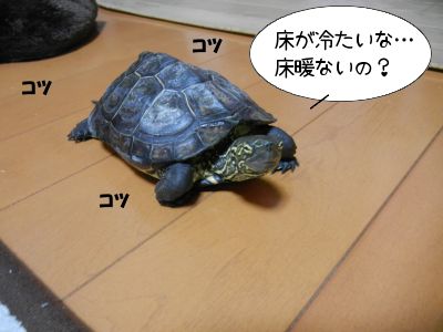 2013/03/23-03