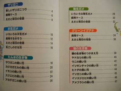 2013/04/08-02