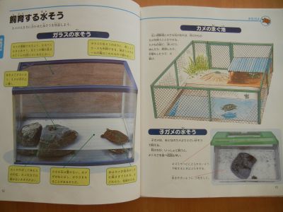2013/04/08-03