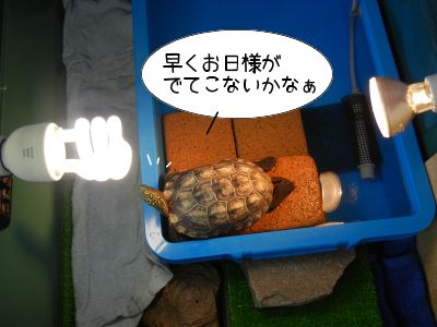 2013/04/08-06
