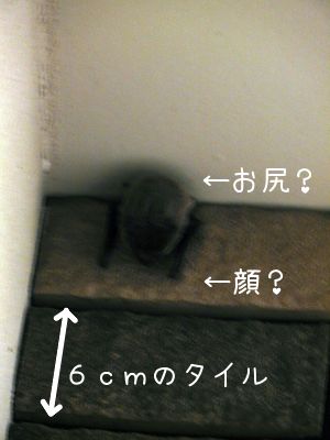 20130513-05