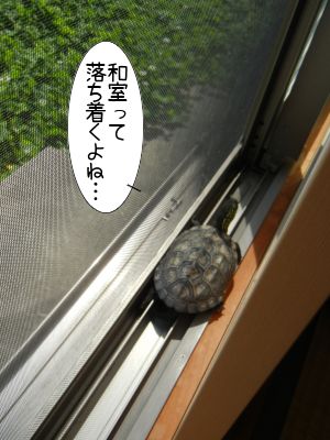20130514-01