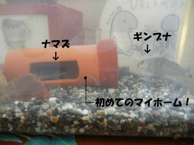 20130515-02