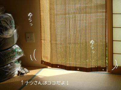 20130516-01