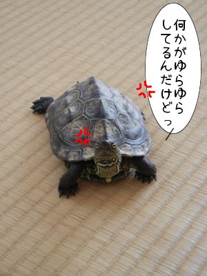 20130516-02