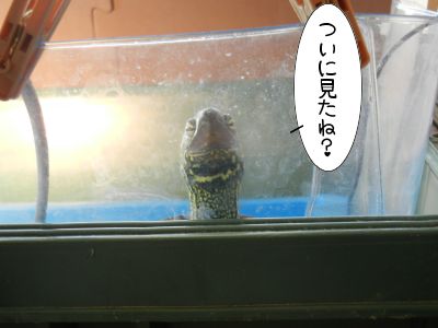20140129-03.jpg