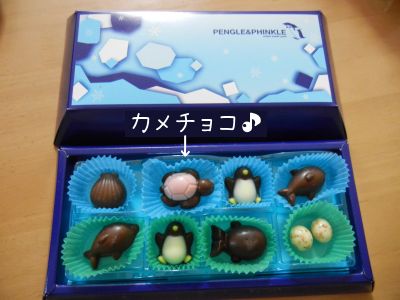 20140206-03.jpg