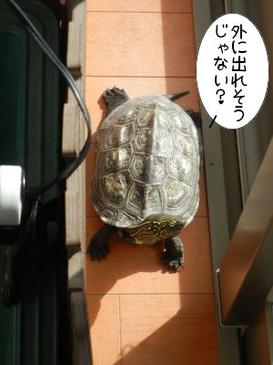 20140207-02.jpg