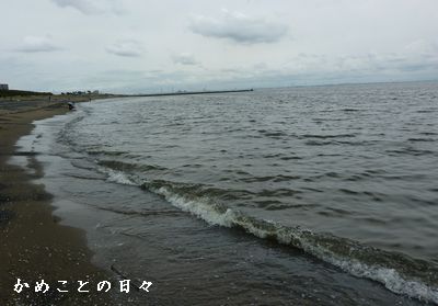P1510763-sea.jpg