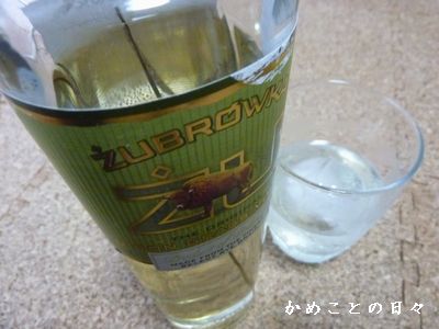 P1520117-zu.jpg