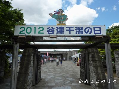 P1570234-yatu.jpg
