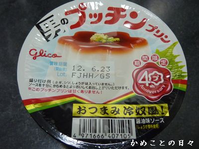 P1570724-pu.jpg