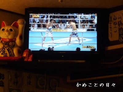 P1580605-box.jpg