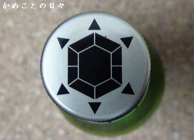P1600109-kame.jpg