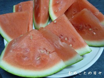 P1610136-sui.jpg