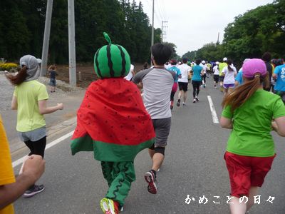 P1620903-race.jpg
