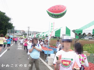 P1620924-kyusuika.jpg