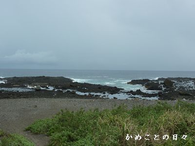 P1630659-beach.jpg