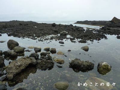 P1630670-beach.jpg
