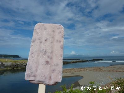 P1630712-ice.jpg