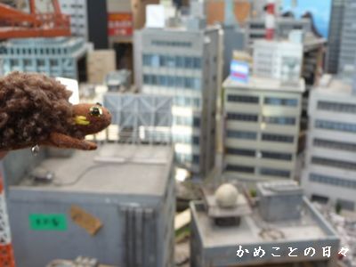 P1640288-pon2.jpg