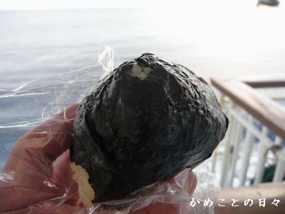 P1640407-oni.jpg