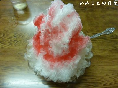 P1650224-ice.jpg