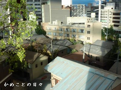P1650954-machi.jpg