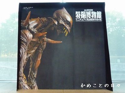 P1650978-tokusatu.jpg