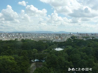 P1660847-shiro.jpg