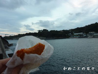 P1700255-koro.jpg