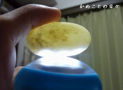 P1710199-egg.jpg